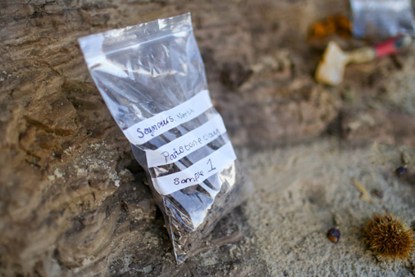 BOLSAS MUESTRAS GEOLOGICAS